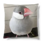 みありんの文鳥のびたろう-おすまし クッション