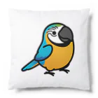 Cody the Lovebirdの（両面）コンゴウインコ　Chubby Bird Cushion