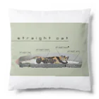 斜め上支店のまっすぐ猫-3.2_抹茶ラテ Cushion