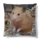 アヤナシトリィSHOPのおつきみ日誌　我が名はつきみ。金熊王朝ハムホテプトラ１世つきみ。 Cushion