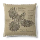 雁花工房（寄付アイテム販売中です）のWild plants of HOTOKENUMA-wetlands（黒線+白線） Cushion