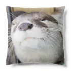 Ａｔｙショップのふたりは表裏一体 Cushion