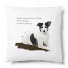 e r i k u r i nのトルコの野良犬さん（スルタンアフメト・モスク） Cushion