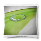 shop 楽輝のwaterdrop Cushion