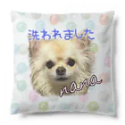 ちわわ〜ずのシャンプーななさん Cushion