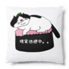 箱入りハチワレ猫　みょんの箱入りネコみょん Cushion