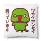 いんこ屋堂のワカケホンセイインコ飼っています（♂） Cushion