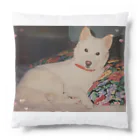 ♪mamashiro♪のリョク君 Cushion