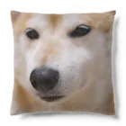 tamanikawaii_shibainuのすまし顔の柴犬♂ Cushion