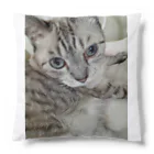 ねこの森でお散歩のフッワフワのシャムミックス Cushion