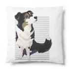 犬甘ちゃんの杜のコリーのメリちゃん Cushion