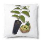 MrpawpawのPAWPAW FRIENDS Cushion