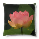 ＲＡＢＩＭＩＷの蓮の花 Cushion