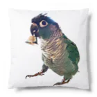 ウロコインコの翠のグッズショップのウロコインコの翠ver.ベルで呼び出し Cushion