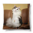 nachuraのハオハオ Cushion