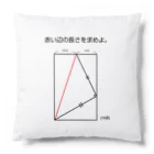 おもしろ系、ネタ系デザイン屋の今日のおさらい(算数1) Cushion