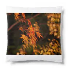 nokkccaのライトアップ紅葉 - Japanese maple(night shot) - Cushion