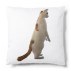 ☆家猫カンパニー社員グッズ☆のプリティーミッキー Cushion