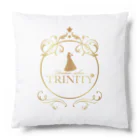 Dream salon TRINITYのDream salon TRINITY Cushion