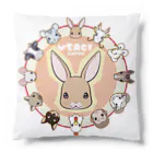 あむぽん*（たぬき）のアムエト・ウサ Cushion