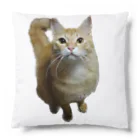 トロールショップの我が家のお猫様が見てます(笑) Cushion