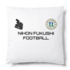 nfu-footballの30 years aniv. support goods クッション