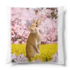 うさぎのうみちゃんねるショップのお花見うさぎ-うさぎのうみ Cushion