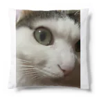 わが家の猫山さん。の猫山さん。はるがきた。 Cushion