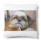 シーズー犬ふくちゃんのお店の寝る時に横に置いておきたいクッション Cushion