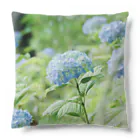 蛍石のhydrangeas Cushion