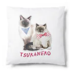 MiKiNEKO雑貨店(つかねこ公式グッズ)のBibi×Riri Cushion