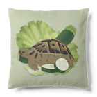 カメの歩みのギリシャリクガメズ Cushion