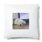 マフィロン同盟のマフィロン　睡眠 Cushion