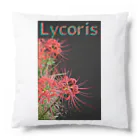 アニマル四字熟語のリコリス　彼岸花　LYCORIS Cushion