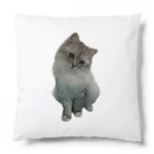 KoRyushopのNiNoちゃん Cushion