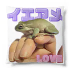 かえるのお店の手乗りイエアメ LOVE クッション