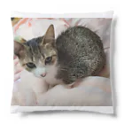 もふぐみ うちの子「とりゅふ」のとりゅふ Cushion