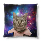 ふぇっとのスペースうちの猫 Cushion