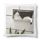 天光のねこ部屋のプリンちゃんの休日 Cushion