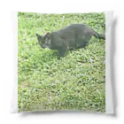 天光のねこ部屋の黒猫カカオの庭 Cushion