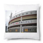 とことこての旧広島市民球場最終戦 Cushion