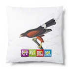 アニマル四字熟語のアニマル四字熟語シリーズ「景星鳳凰」。ジョン・ジェームズ・オーデュボン　鷲 Cushion