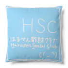 harucamera3のHSC クッション