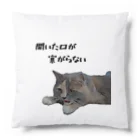 munteaのちろねこ Cushion