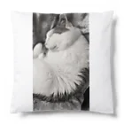 KAZU SHOPの可愛い猫のお昼寝　癒し Cushion