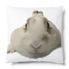 ソヒのショップの白いうさぎが可愛い Cushion