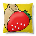 くま🧸✉️のリチャードソンジリスのピー助といちご Cushion