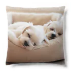 HoneyBabyのあなたの愛犬(おやすみマルチーズ) Cushion