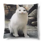 No planのニッコリニャンコ Cushion