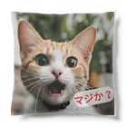 e-necoshopの驚愕する猫さん！ クッション